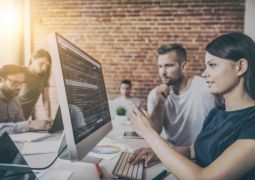 web yazılım hizmetleri