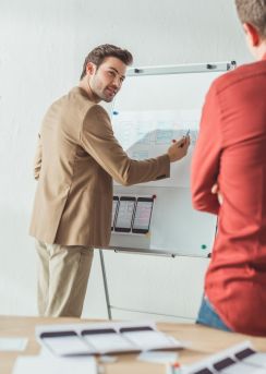 profesyonel web sitesi tasarımı