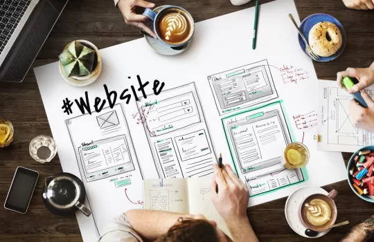 Web Sitesi Danismanligi