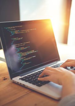 web sitesi tasarımı